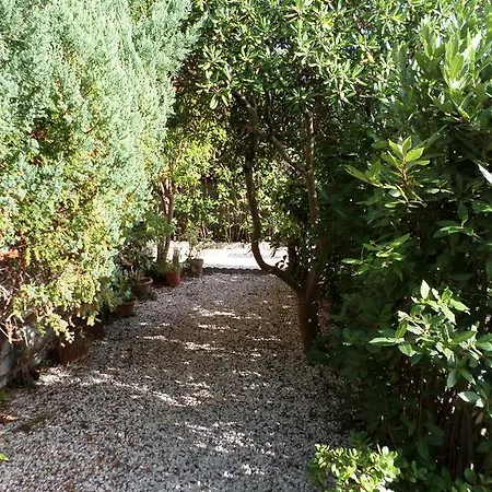 Frühstückspension Le Midi Versilia